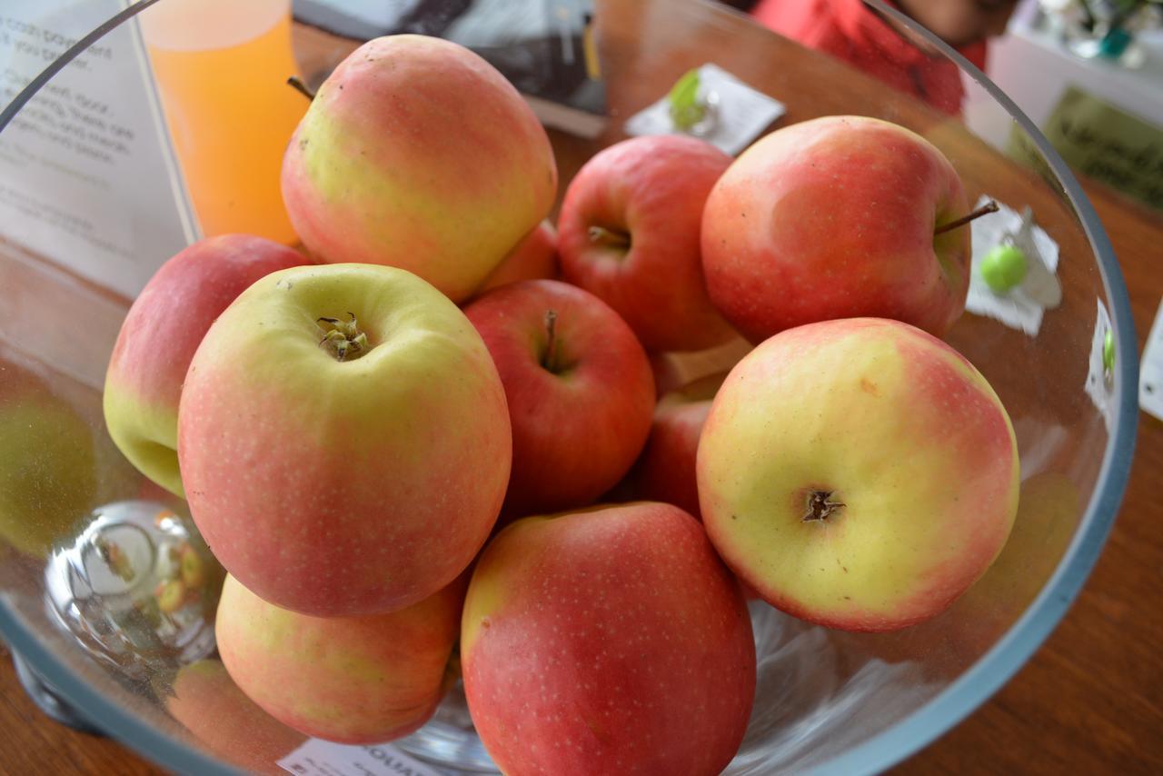 The Apple Inn Batlow Экстерьер фото